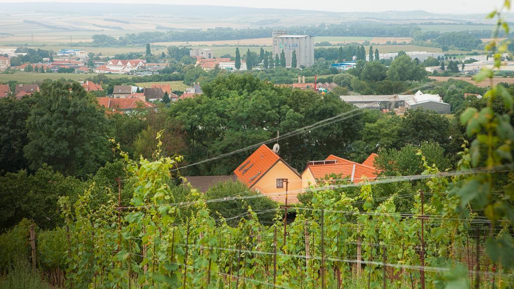 Penzion Zatisi Mikulov Bagian luar foto